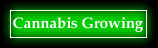 Growing cannabis & marijuana cultivation information